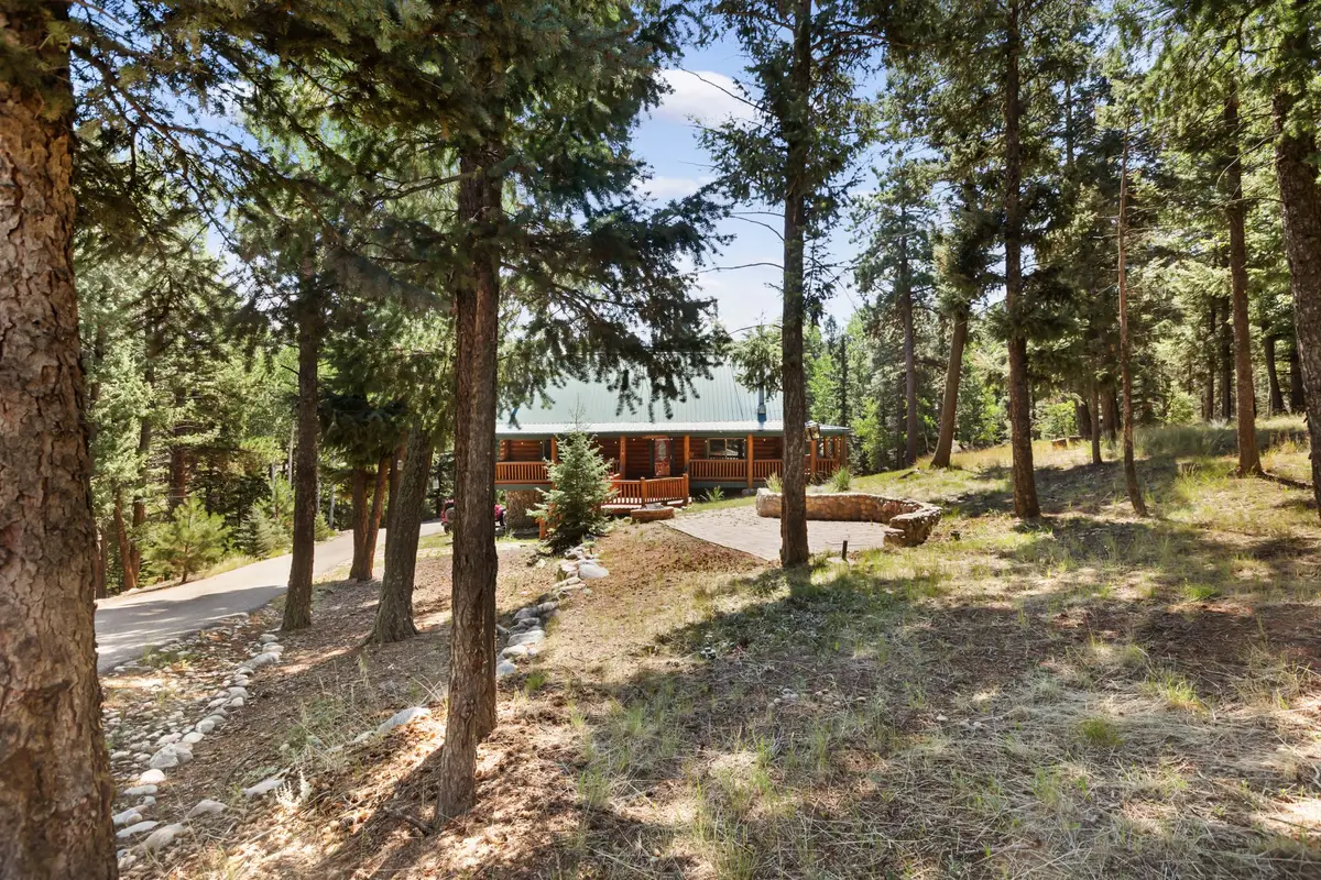 734 Kutsu Ridge Road, Florissant, CO 80816 - #1