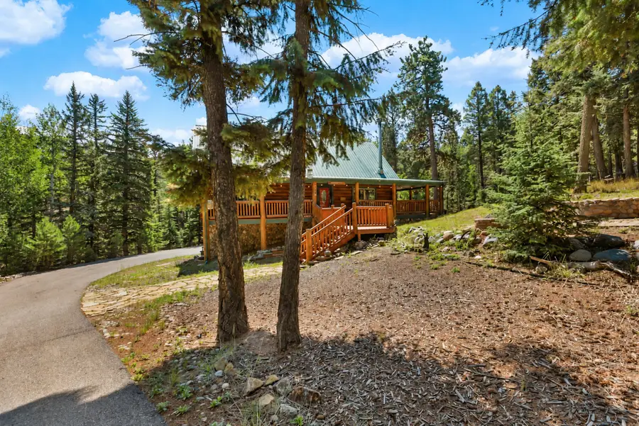 734 Kutsu Ridge Road, Florissant, CO 80816 - #2