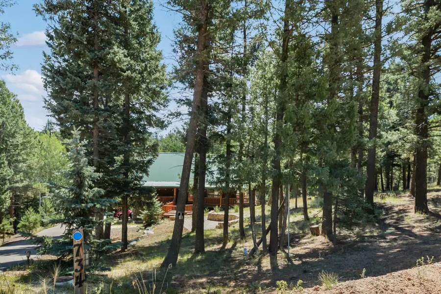 734 Kutsu Ridge Road, Florissant, CO 80816 - #3