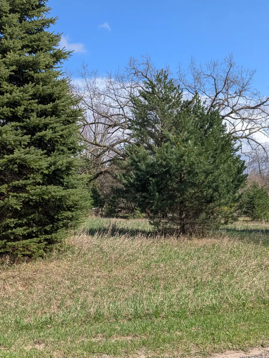 1005 Kent, Lake Isabella, MI 48893 - #3