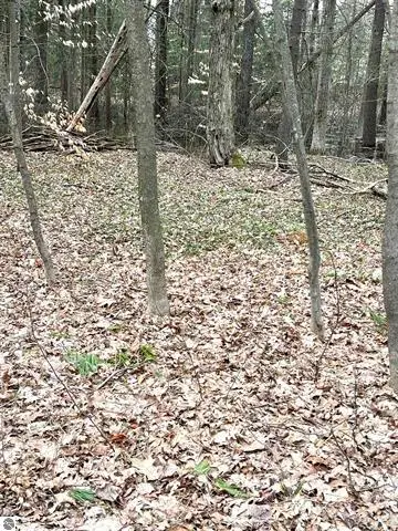 00 North, Cadillac, MI 49601