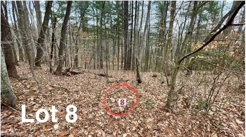 Lot 8 Woods Haven Lane, Stuart, VA 24171 - #1