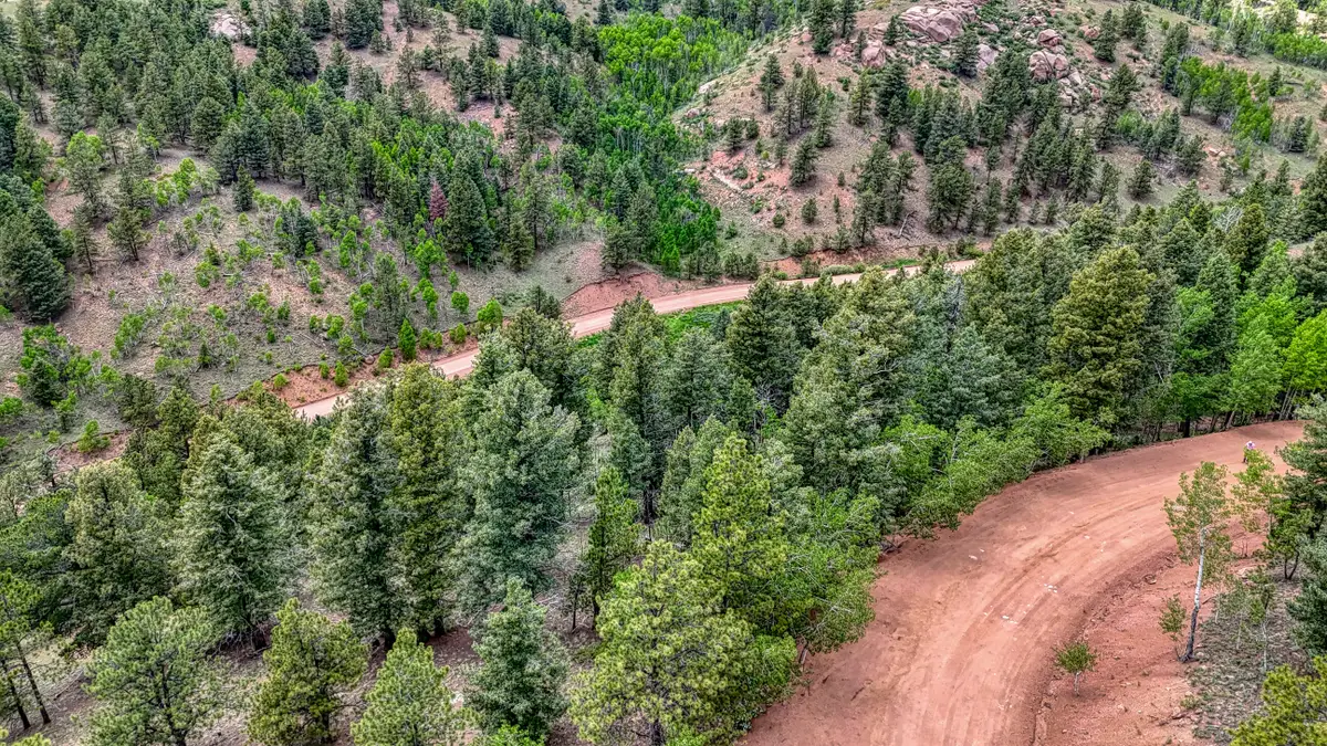 626 Little Topsey Drive, Cripple Creek, CO 80813 - Image #1