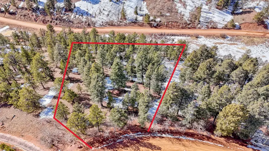 626 Little Topsey Drive, Cripple Creek, CO 80813 - Image #2