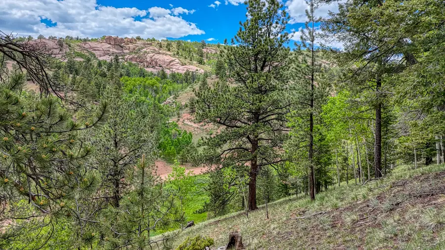 626 Little Topsey Drive, Cripple Creek, CO 80813 - Image #3