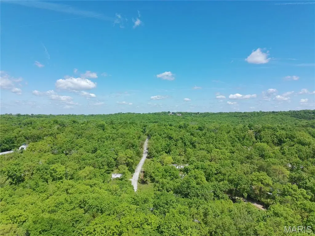 324 Sirius Road, De Soto, MO 63020 - #1