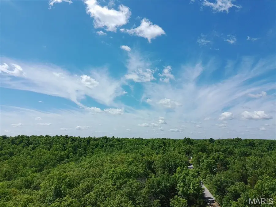 324 Sirius Road, De Soto, MO 63020 - #2