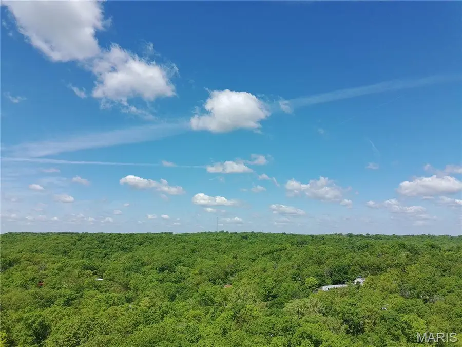 324 Sirius Road, De Soto, MO 63020 - #3