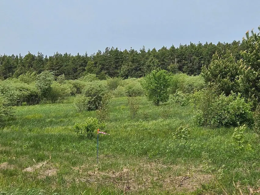 0 S Mackinc Trl, Rudyard, MI 49780 - Image #2