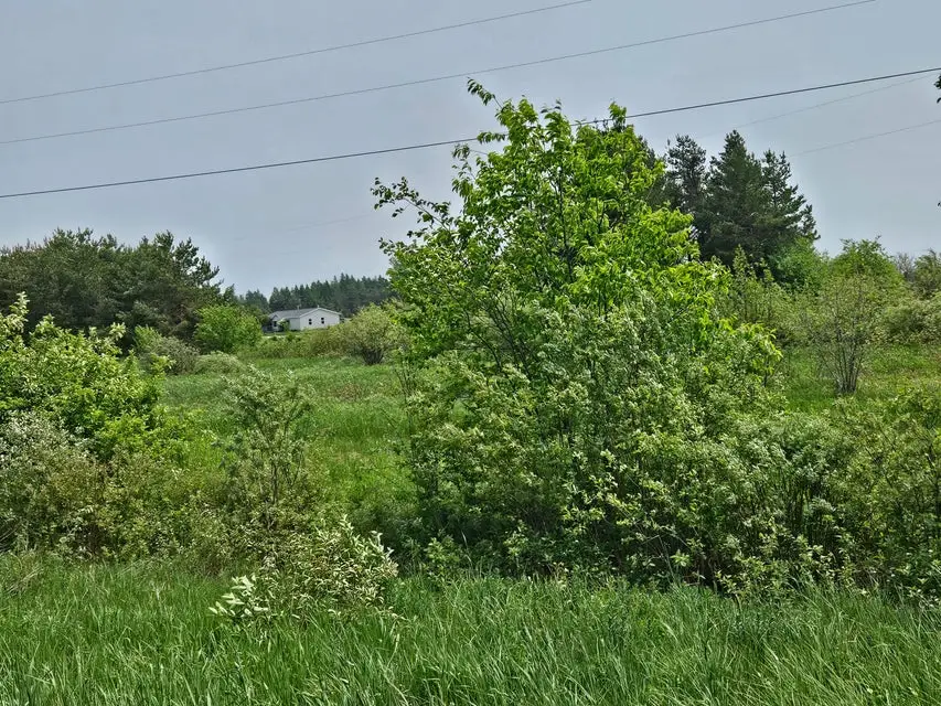 0 S Mackinc Trl, Rudyard, MI 49780 - Image #3