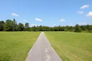 924 Hwy C4a, Baker, FL 32531 - Image #3