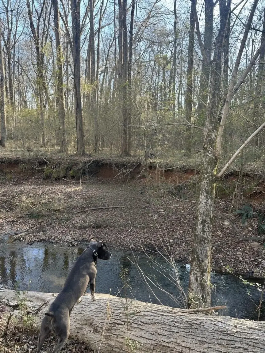 20 +/- AC Crooked Creek Road, Eatonton, GA 31024 - #2