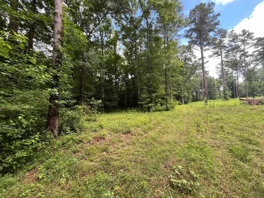 20 +/- AC Crooked Creek Road, Eatonton, GA 31024 - #3