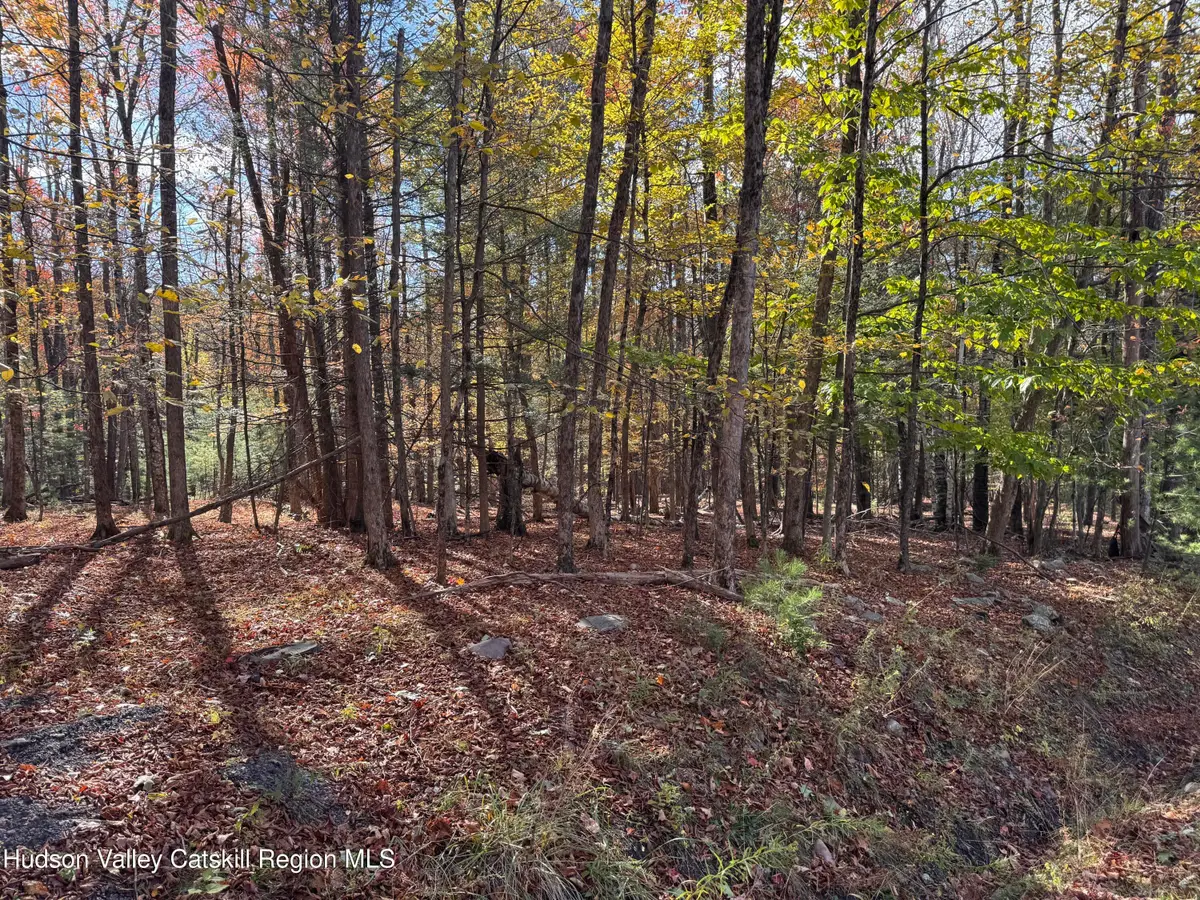 TBD Cross Patch Road, Willow, NY 12498 - Image #1