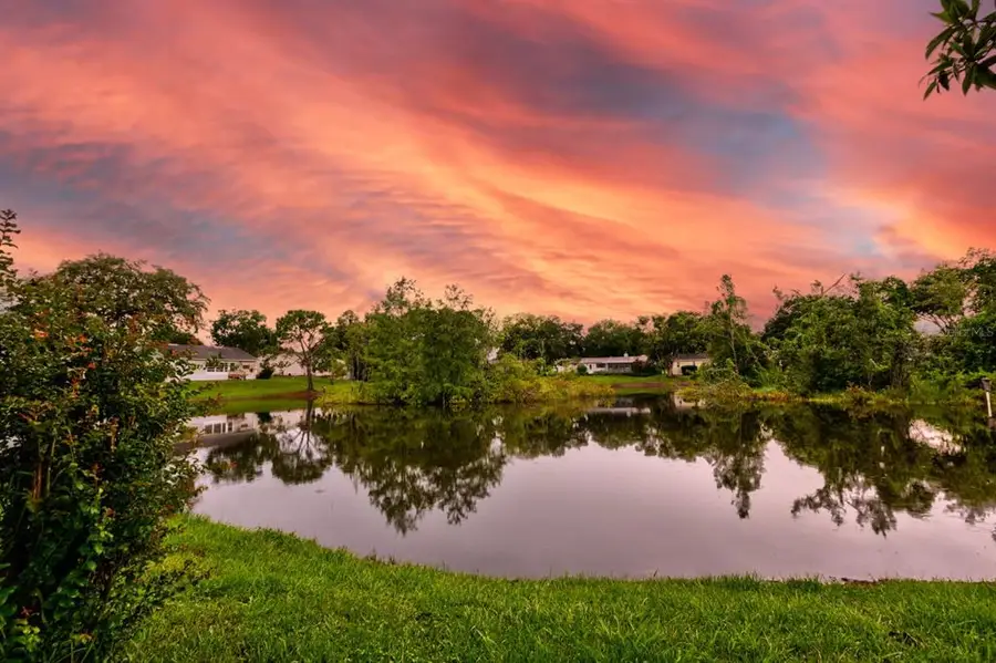 16 Easter Ross Court, Leesburg, FL 34788 - Image #3