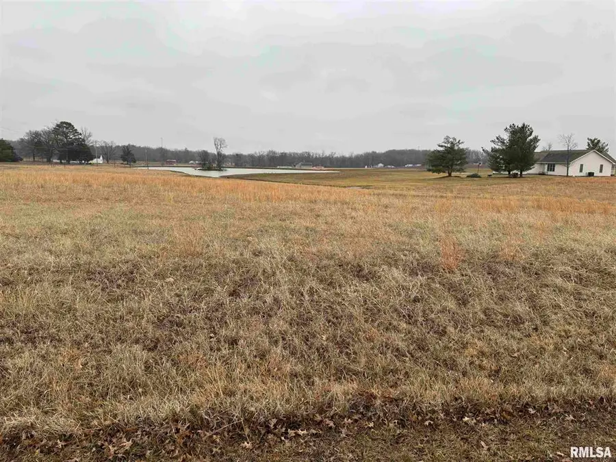 Lot 3 Dove Lane, Eldorado, IL 62930 - Image #3
