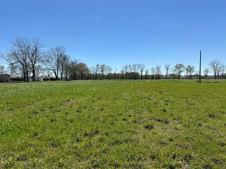 9766 Skynet Lane, Bueche, LA 70729 - Image #2