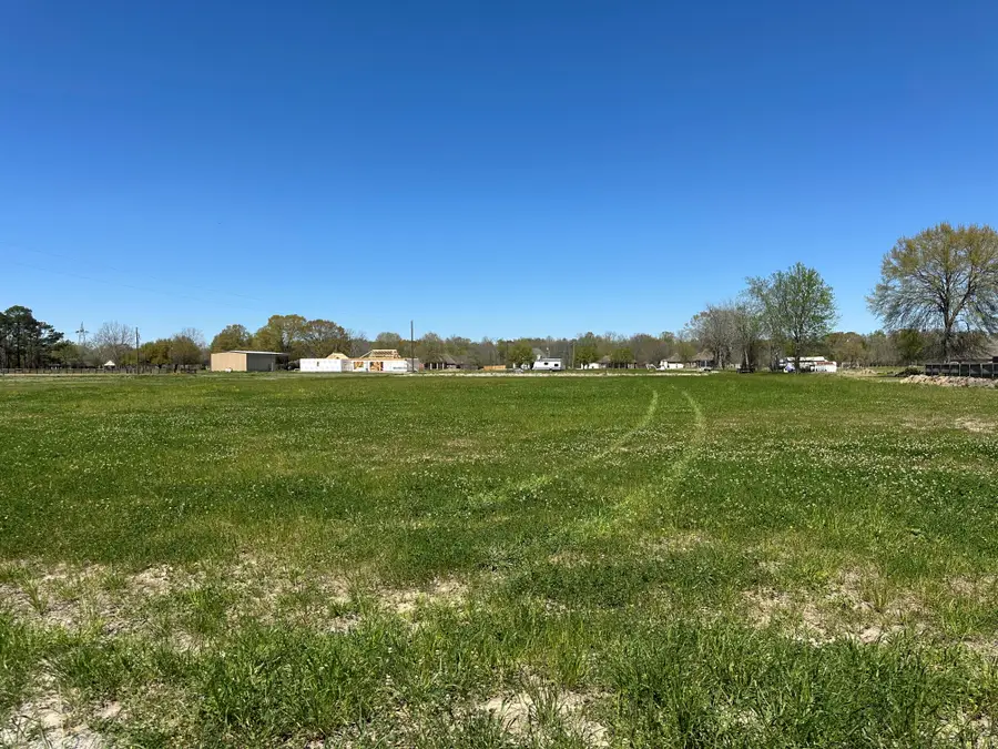 9766 Skynet Lane, Bueche, LA 70729 - Image #3