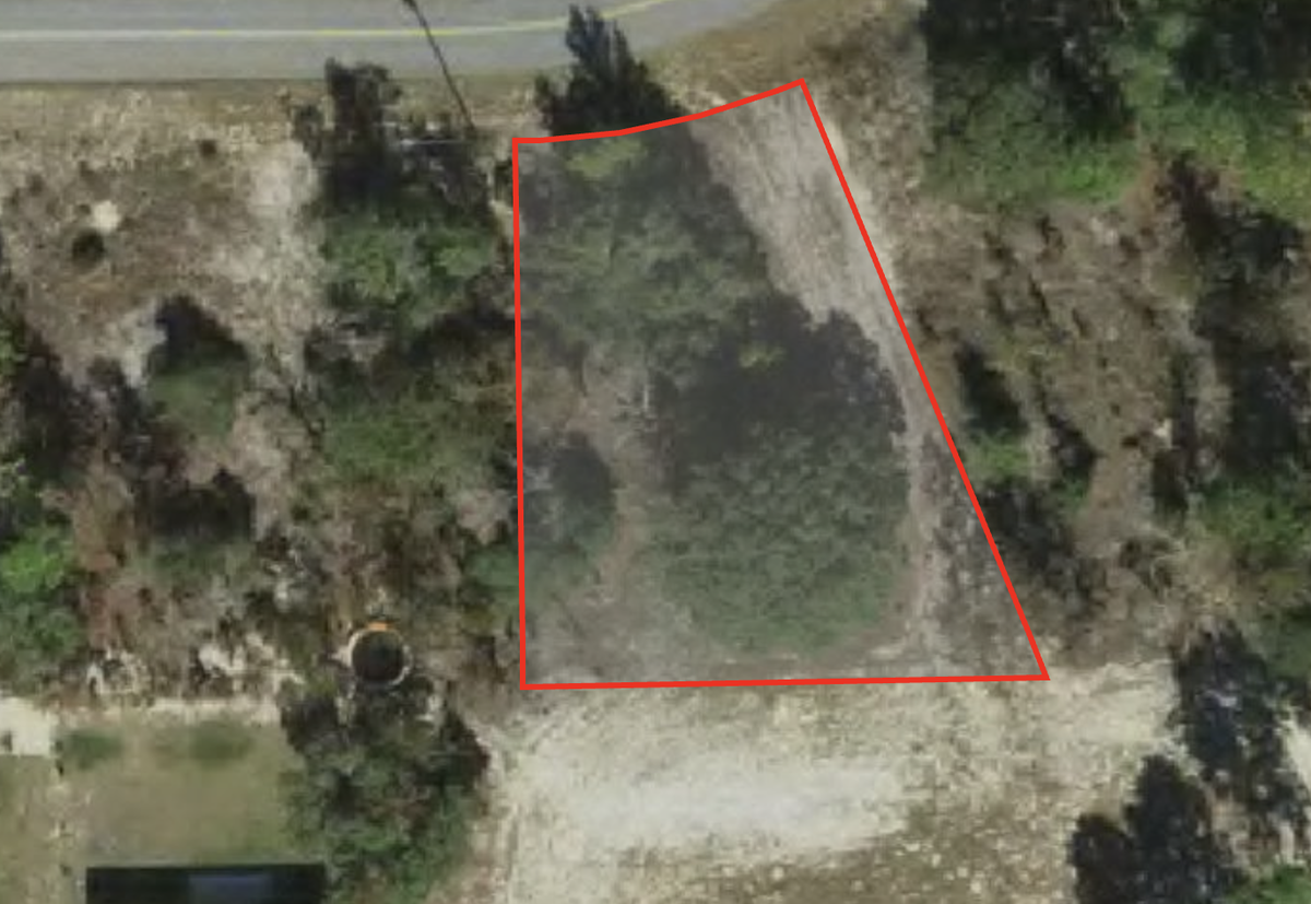 10359 N G Martinelli Boulevard, Dunnellon, FL 34433 - #1