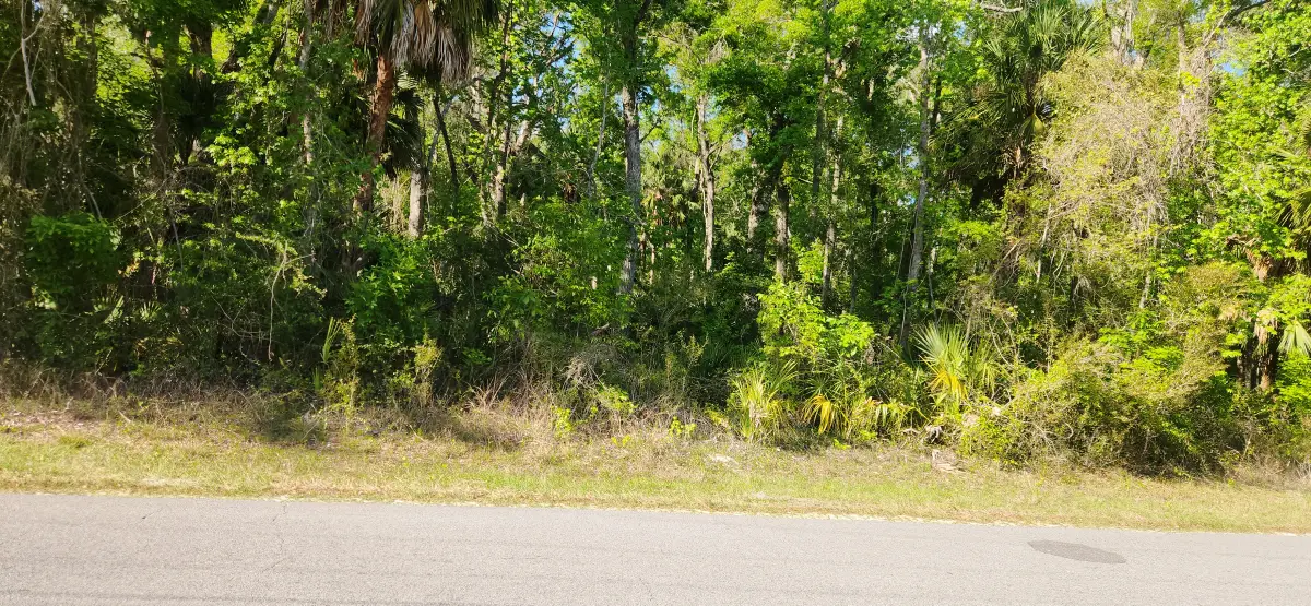 383 NE 209th Ave, Old Town, FL 32680 - #1
