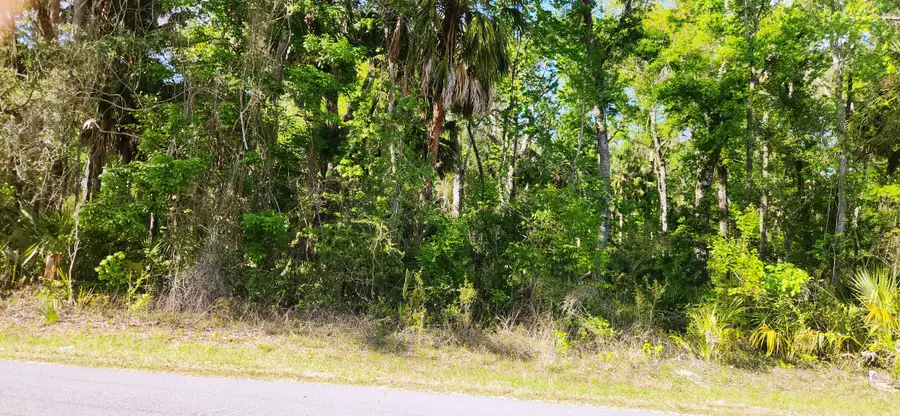 383 NE 209th Ave, Old Town, FL 32680 - #2
