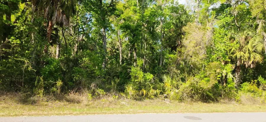 383 NE 209th Ave, Old Town, FL 32680 - #3