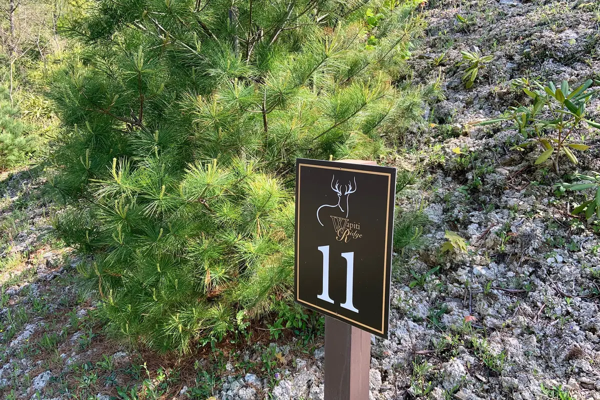 Lot 11 Wapiti Way, Boone, NC 28607 - Image #1