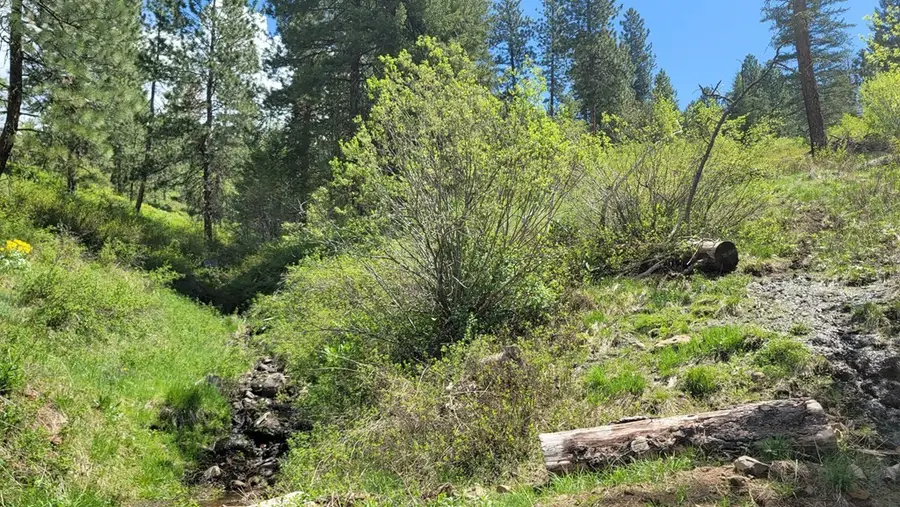 2488 Lappin Lane, Council, ID 83612 - Image #2