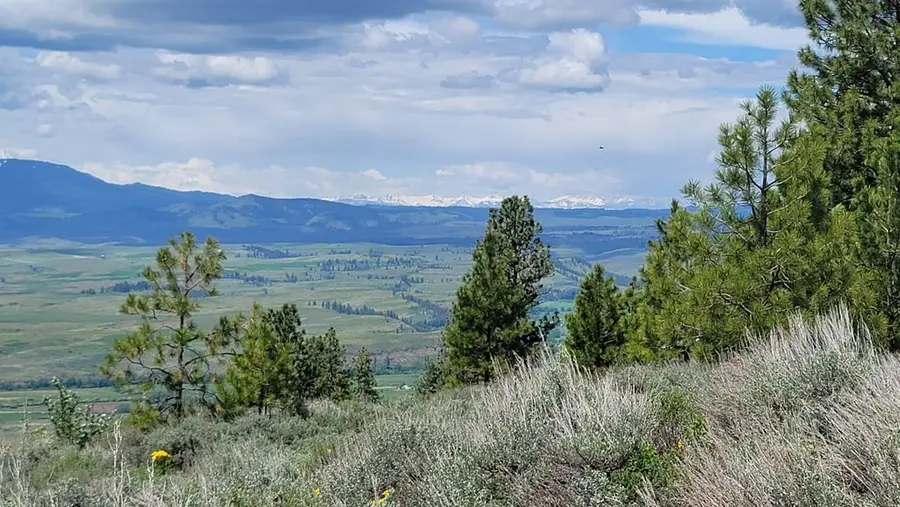 2488 Lappin Lane, Council, ID 83612 - Image #3