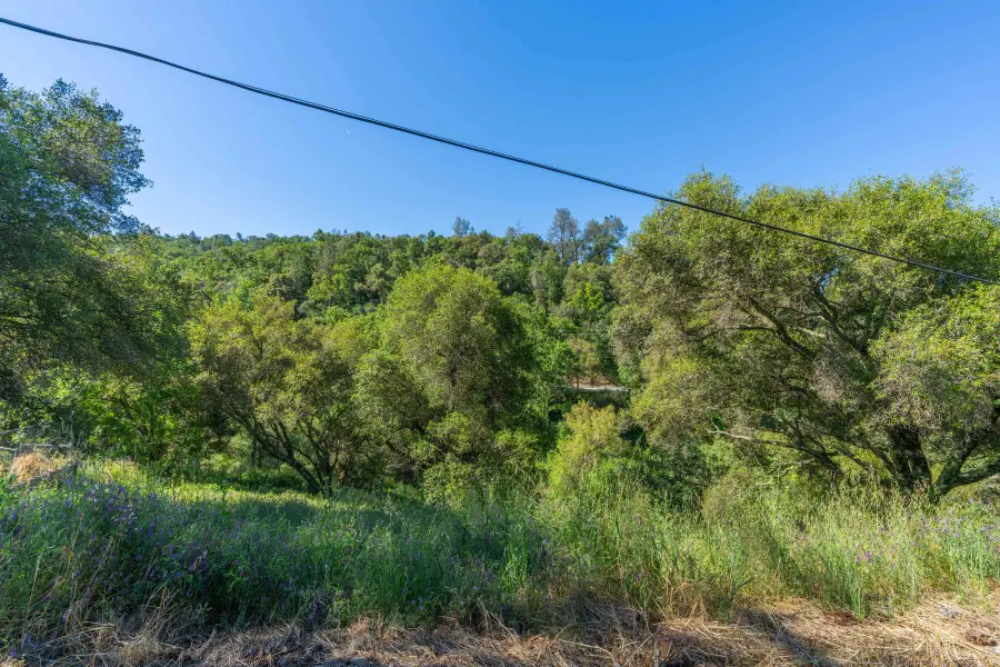 12380 Eureka Street, Sutter Creek, CA 95685 - Image #3