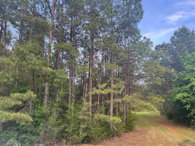 CR 477, Henderson, TX 75654 - Image #1