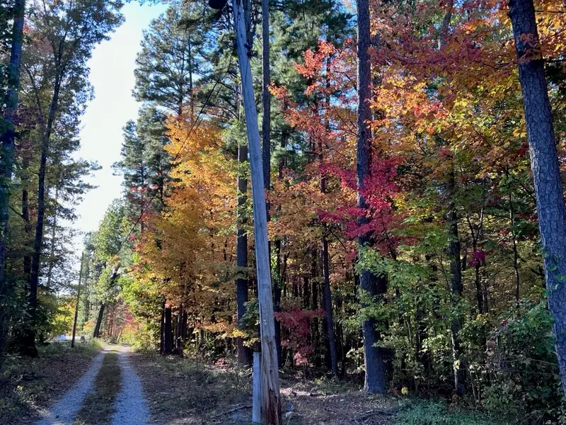 21119 N Hwy 5, Mountain View, AR 72560 - Image #3