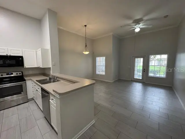 667 Celebration Avenue, Celebration, FL 34747 - #3