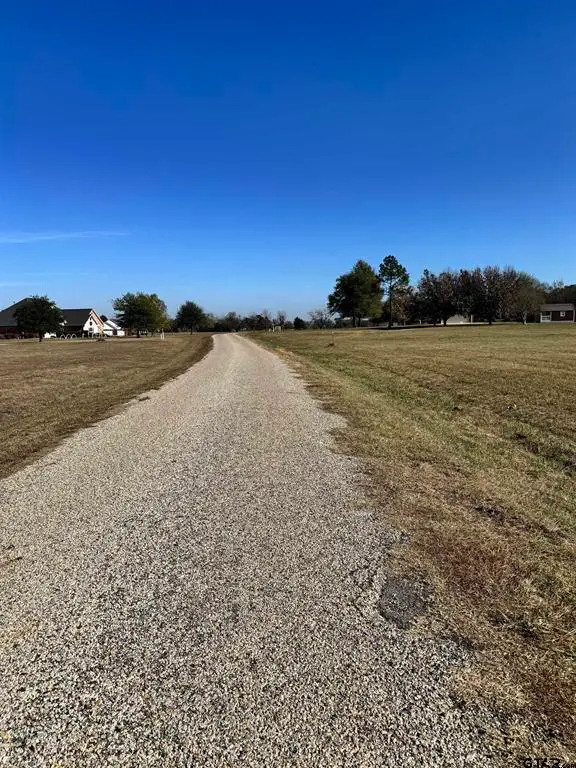 0000 High Meadow Drive, Mount Vernon, TX 75457 - #2