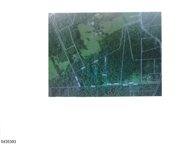 2 Arnwine Lane, Kingwood Twp., NJ 08559