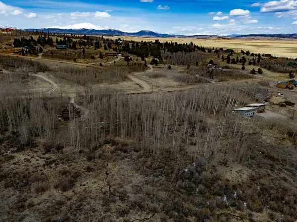 1555 Sheep Ridge Road, Fairplay, CO 80440