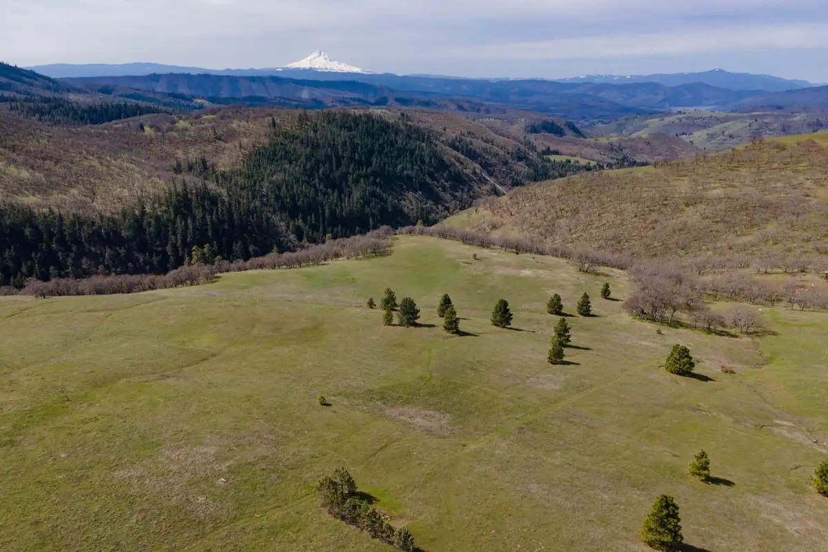 60 Hartwig Rd, Lyle, WA 98635 - #1