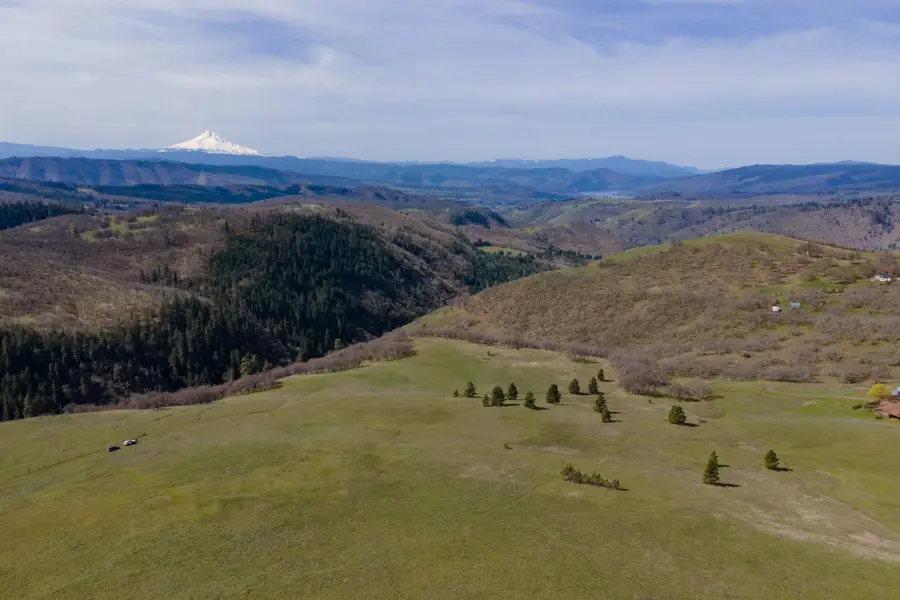 60 Hartwig Rd, Lyle, WA 98635 - #3