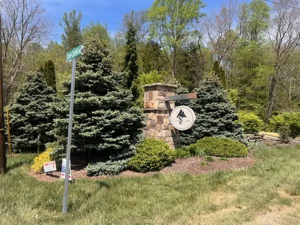 LOT 35A WILDFLOWER WAY, Bastian, VA 24314