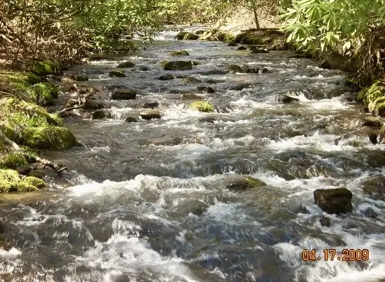 LOT 35A WILDFLOWER WAY, Bastian, VA 24314 - #3