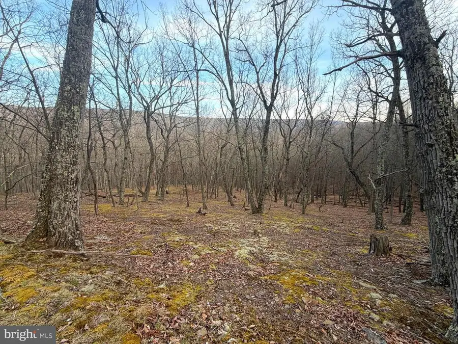 Lot 5 Preserve Rd, Maysville, WV 26833 - #3