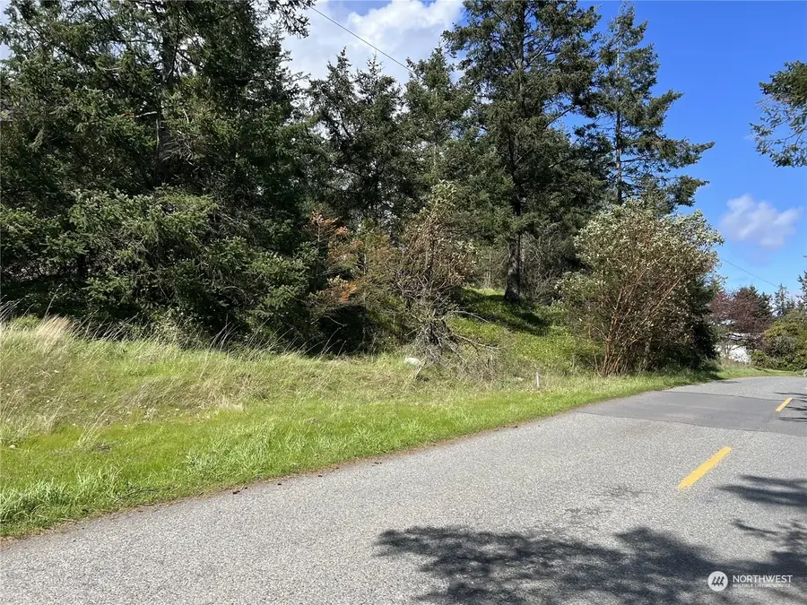 385 Marguerite Place, Friday Harbor, WA 98250 - Image #2