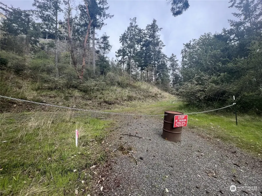 385 Marguerite Place, Friday Harbor, WA 98250 - Image #3