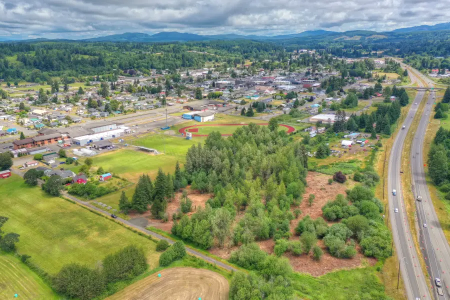 0 Old Wentzel Slough Road, Elma, WA 98541 - #3
