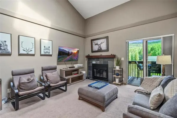 520 Bills Ranch Road #313, Frisco, CO 80443
