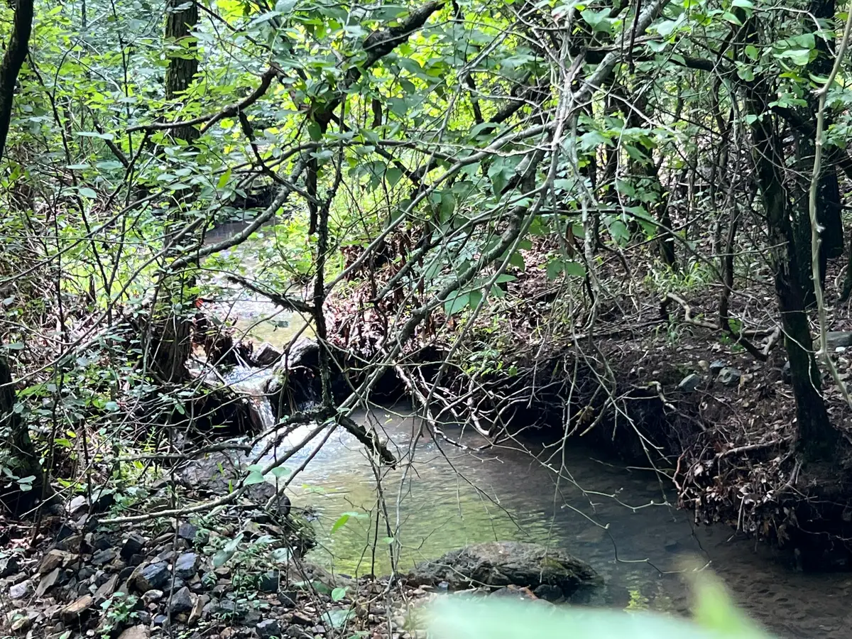 Unk Fs Road 521, Mena, AR 71953 - Image #1