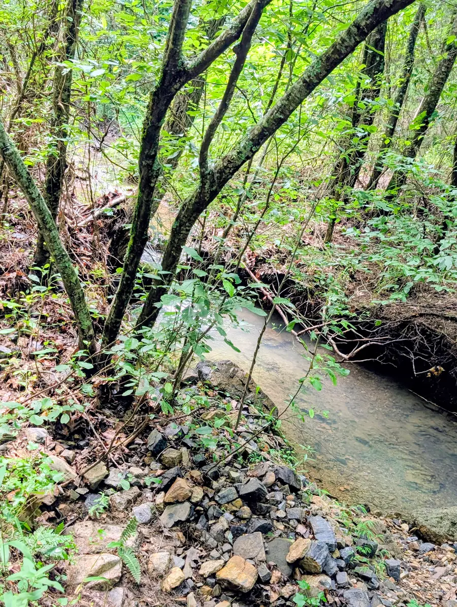 Unk Fs Road 521, Mena, AR 71953 - Image #2