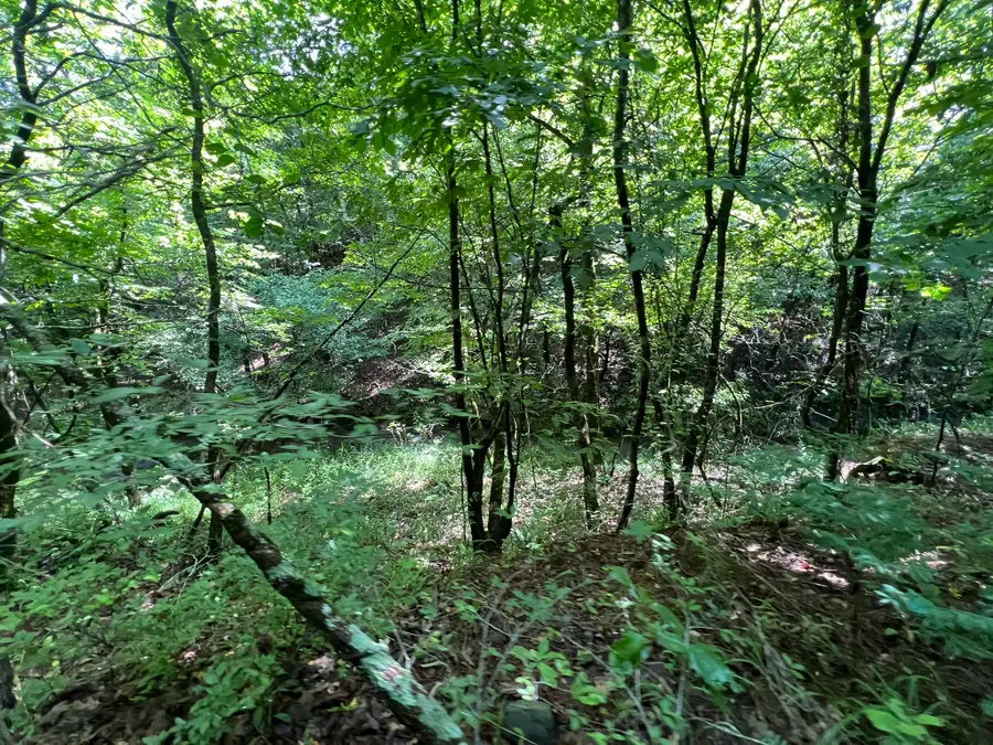 Unk Fs Road 521, Mena, AR 71953 - Image #3