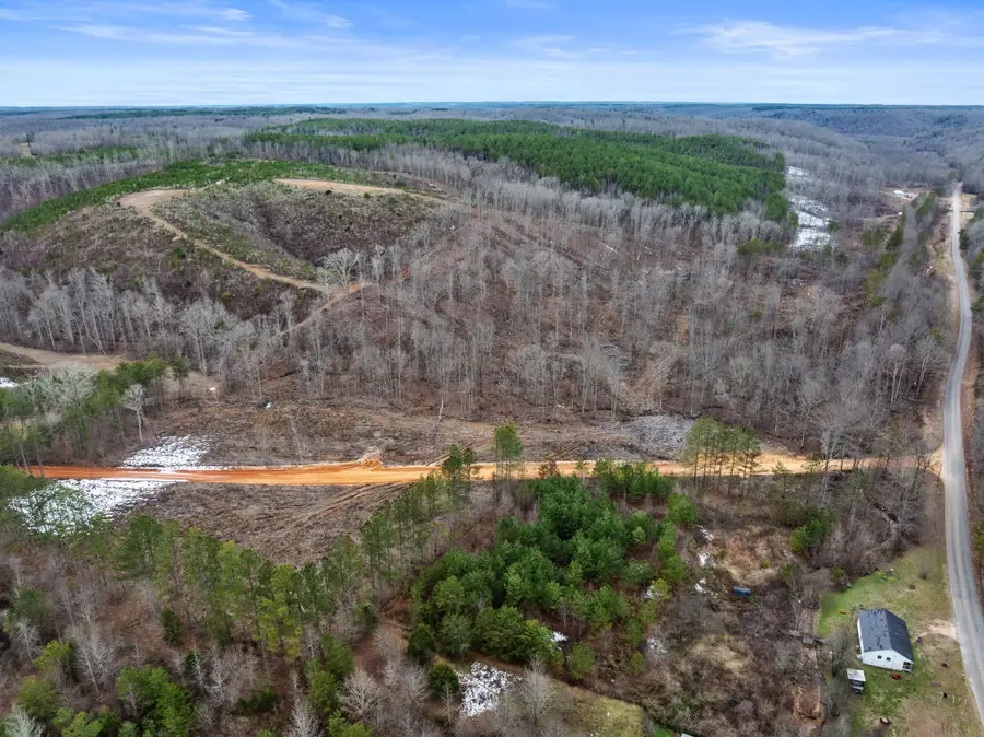 Tract 19 Co Rd 79, Waterloo, AL 35677 - Image #2