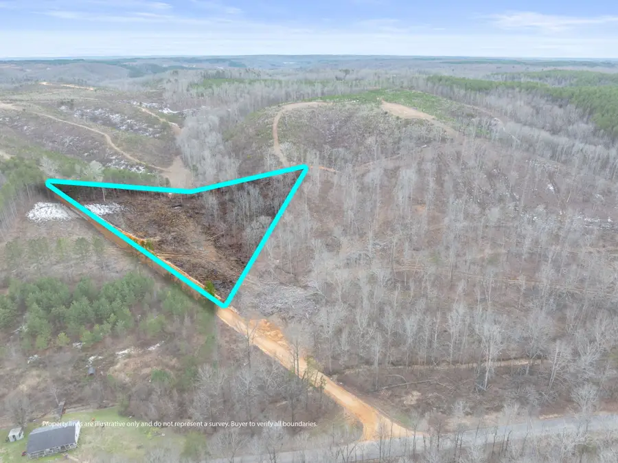 Tract 19 Co Rd 79, Waterloo, AL 35677 - Image #3